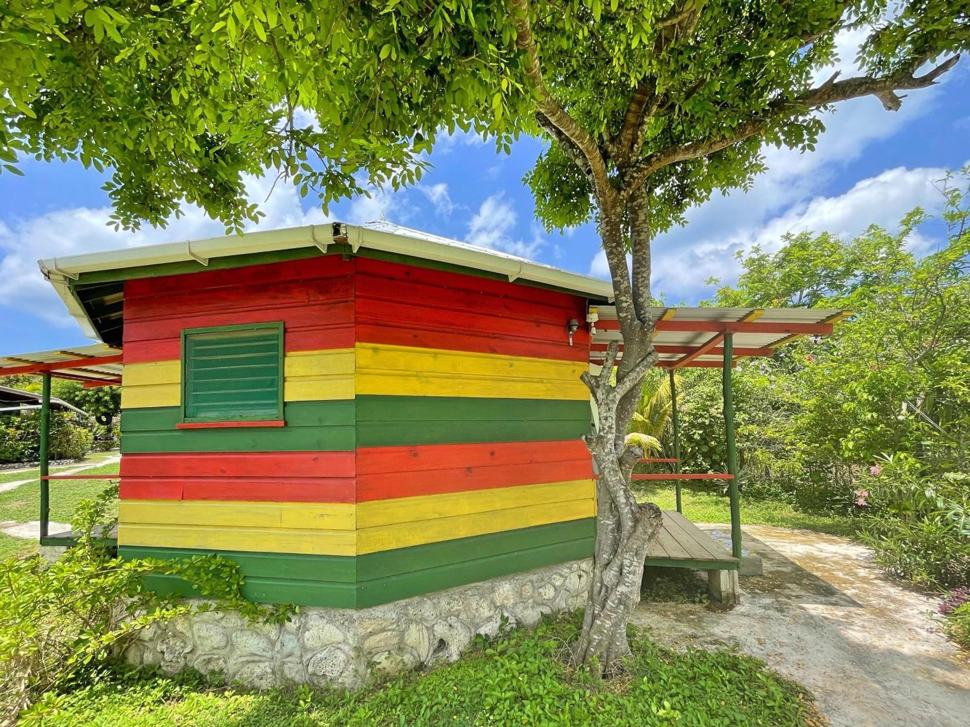 Judy House 2 - Lewis Backpacker Hostel Little Bay Oda fotoğraf